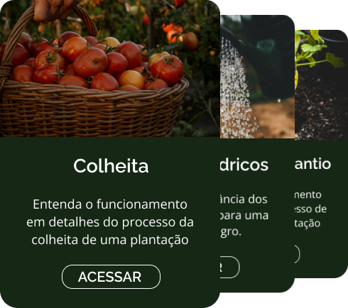 Imagens de cards sobrepostos sobre conteúdos