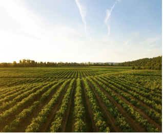Imagem dos tipos de agricultura